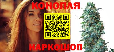 стаф Бугуруслан