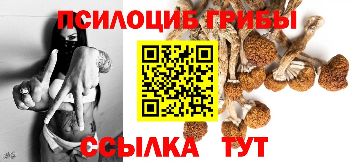 Псилоцибиновые грибы прущие грибы  как найти закладки  Псилоцибиновые грибы Psilocybe  Мыски  Вход с VPN 